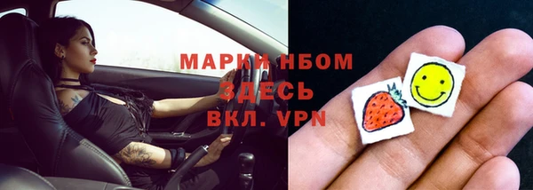 шишки Корсаков