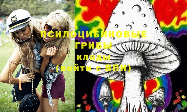 прущий лед Костерёво